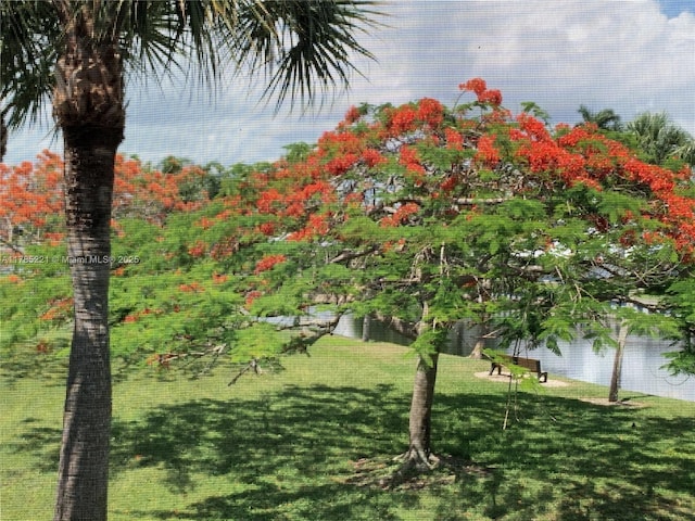 6121 SE Landing Way Unit 13, Stuart, FL 34997 - view of grassy yard