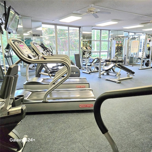 3400 192nd St Unit 1606, Aventura, FL 33180 - workout area featuring ceiling fan, expansive windows, and a textured ceiling