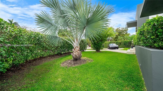 10603 NE 11th Ave, Miami Shores, FL 33138 - view of green lawn