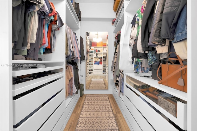 3953 SW 60th Ave, Miami, FL 33155 - spacious closet with light wood-type flooring