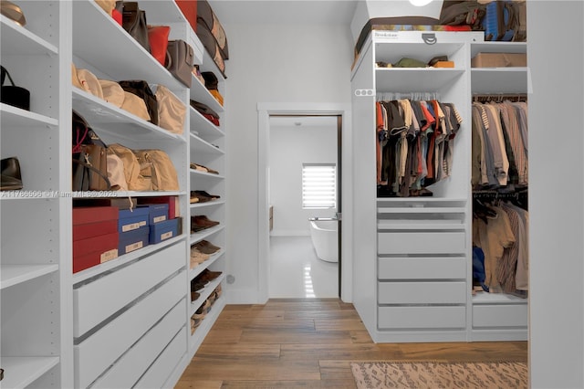 3953 SW 60th Ave, Miami, FL 33155 - walk in closet with wood finished floors