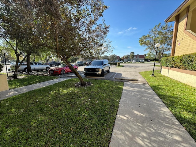 view of grassy yard