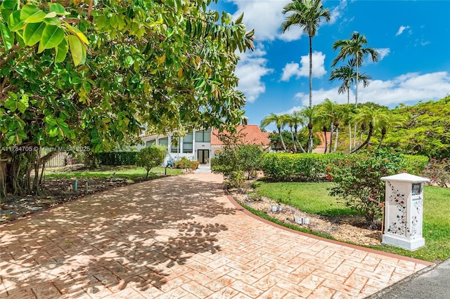 10204 SW 96th Ct, Miami, FL 33176 - photo 5