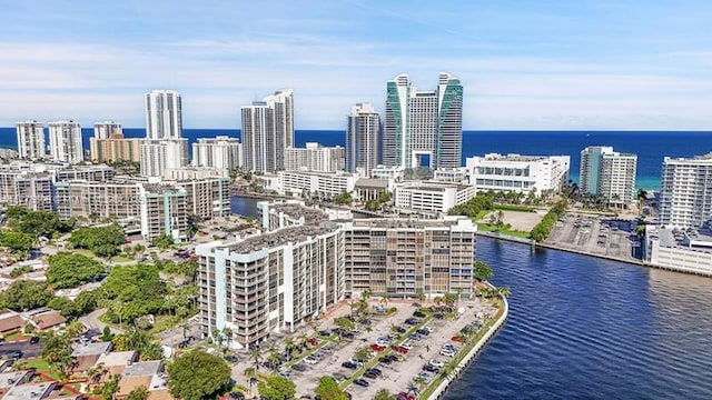 aerial view of a large body of water and a view of skyline
