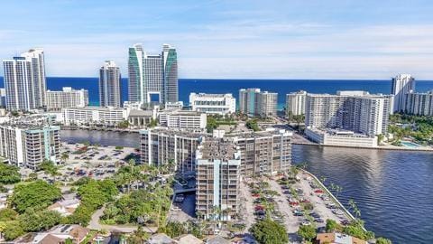 drone / aerial view of a large body of water and a skyline view