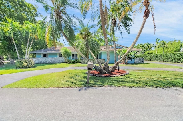 view of front of home featuring curved driveway and a front yard