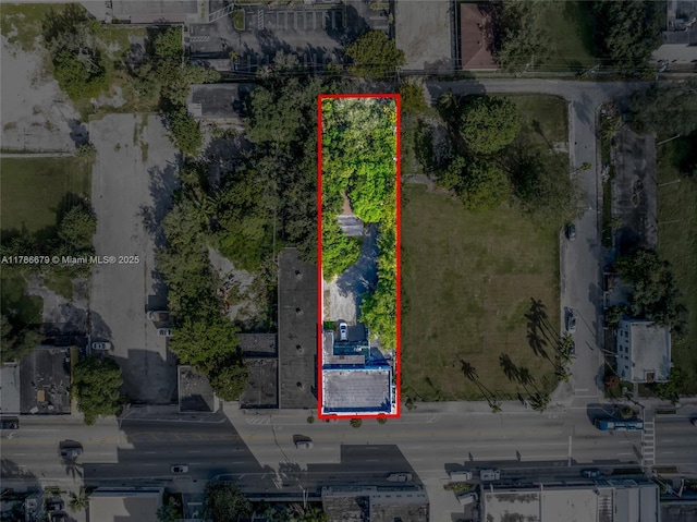 259 NE 79th St, Miami, FL 33138 - photo 11