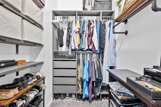 11640 SW 243rd St, Homestead, FL 33032 - view of spacious closet