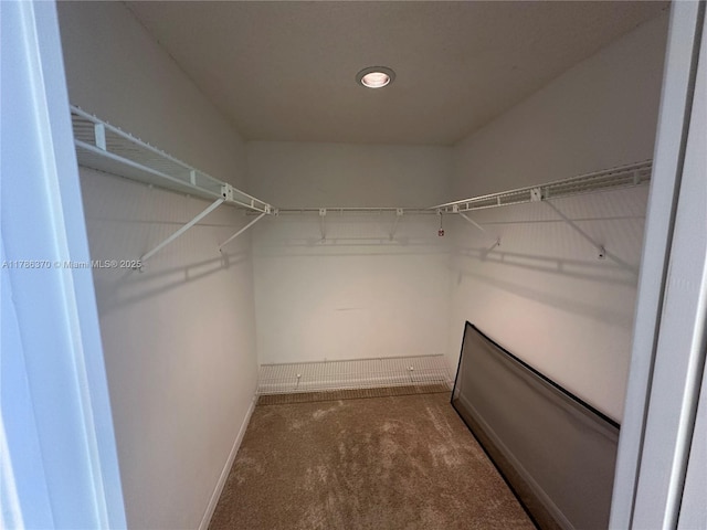 6081 SE Landing Way Unit 8, Stuart, FL 34997 - walk in closet with carpet floors