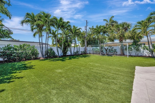 2506 NE 30th St, Fort Lauderdale, FL 33306 - view of yard