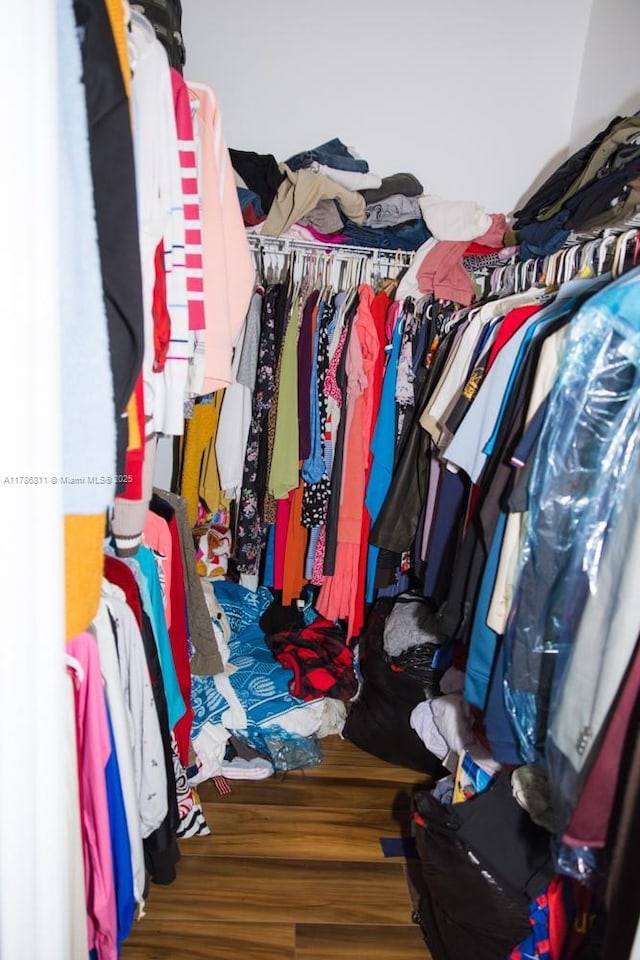 walk in closet featuring wood finished floors