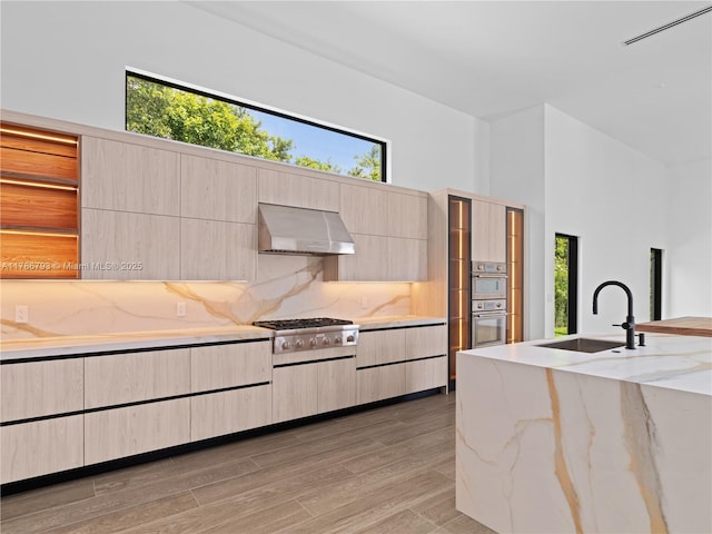 kitchen with light brown cabinets, ventilation hood, a sink, and appliances with stainless steel finishes