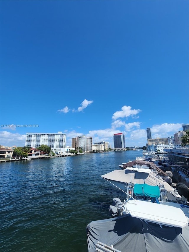 dock area with a city view and a water view