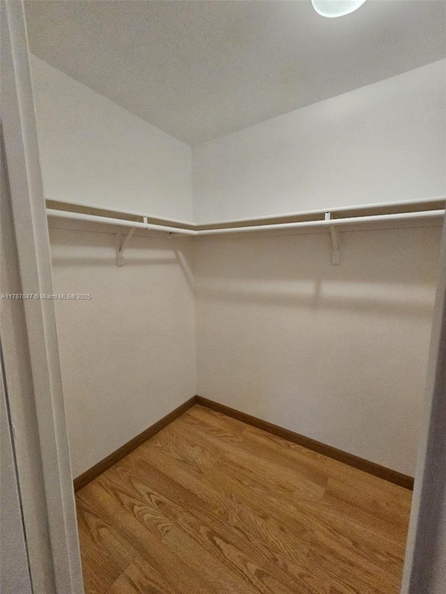 spacious closet with wood finished floors