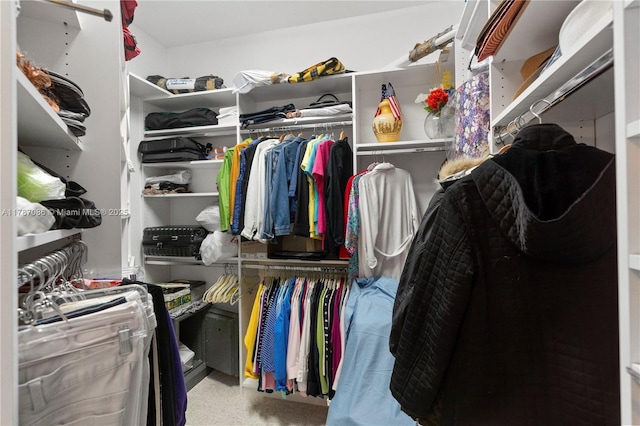 view of walk in closet