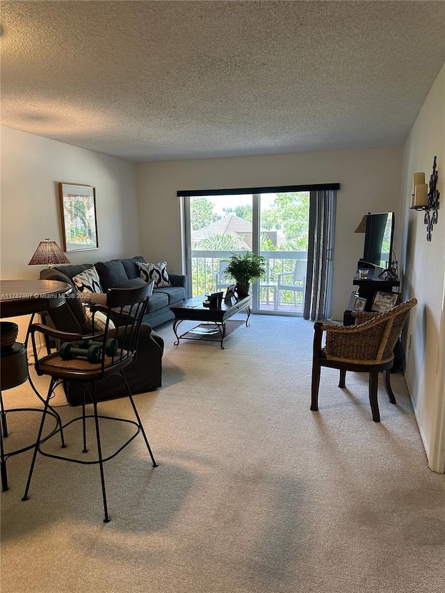 carpeted living area featuring a textured ceiling