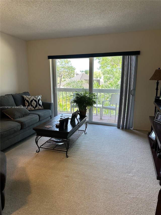 living room featuring carpet flooring and a textured ceiling