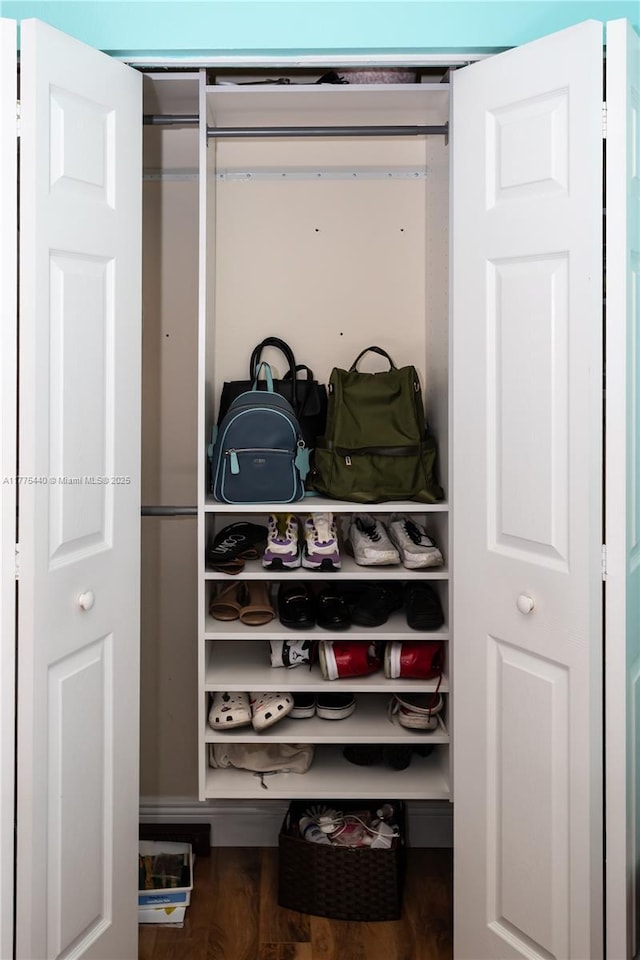 view of closet