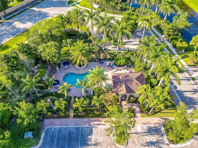 bird's eye view