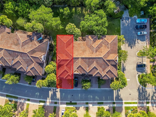 aerial view