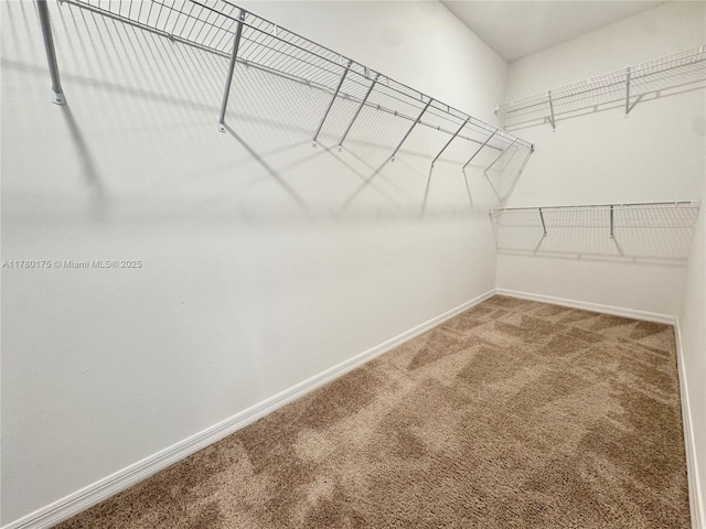 749 SE Karrigan Ter, Port St Lucie, FL 34983 - spacious closet featuring carpet floors
