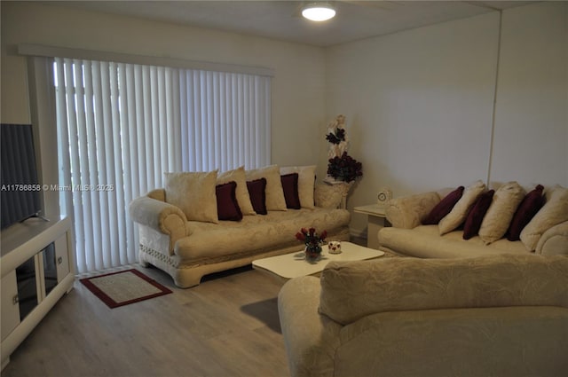 living room featuring wood finished floors