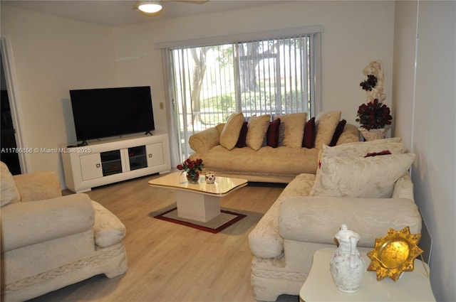 living room featuring wood finished floors