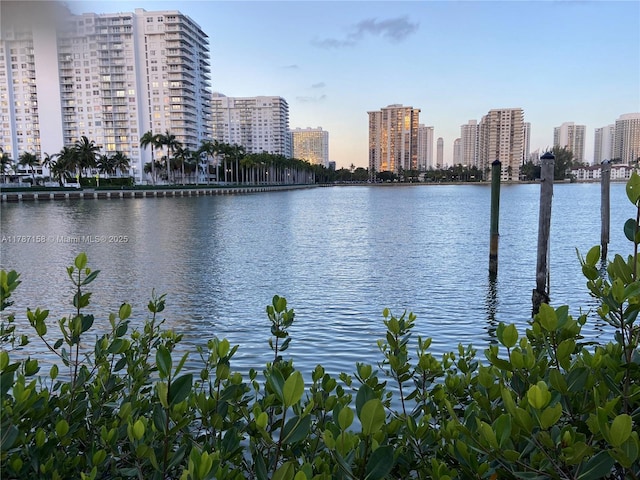 2750 NE 183rd St Unit 1805, Aventura, FL 33160 - photo 22