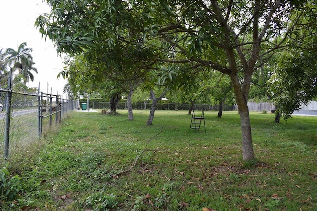 16635 SW 236th St, Homestead, FL 33031 - view of yard