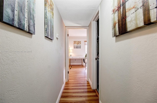301 NW 109th Ave Unit 201, Miami, FL 33172 - corridor with light wood-style floors, a textured wall, and baseboards