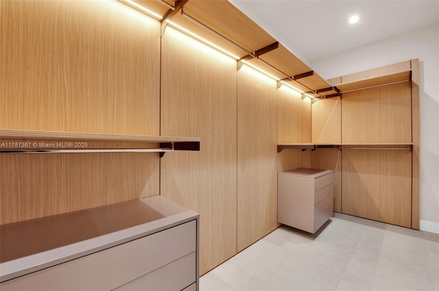 915 NE 17th Ter, Fort Lauderdale, FL 33304 - view of walk in closet