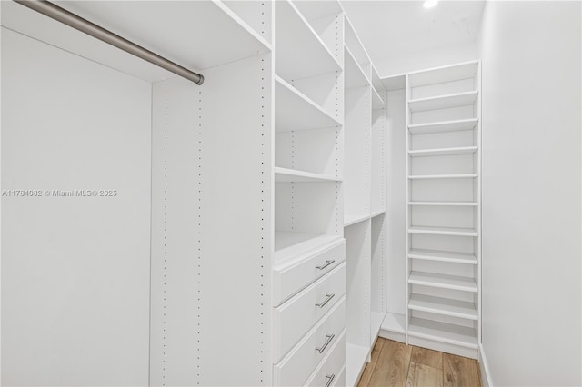 2905 Day Ave Unit 2A, Miami, FL 33133 - walk in closet featuring light wood-style flooring