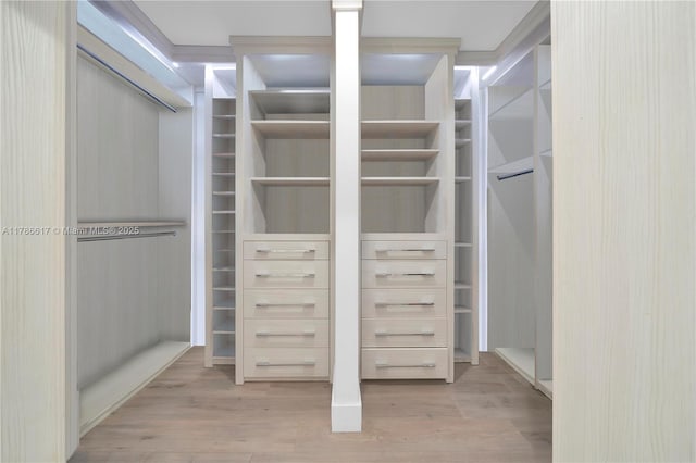 walk in closet with wood finished floors
