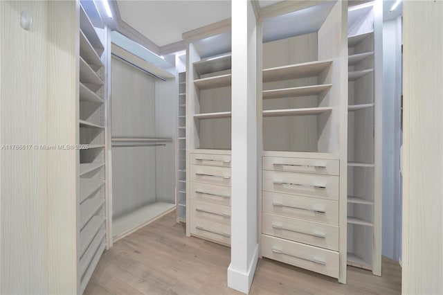 spacious closet featuring wood finished floors
