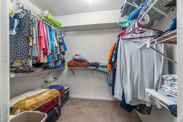 3111 Coral Springs Dr Unit 211, Coral Springs, FL 33065 - walk in closet featuring carpet flooring