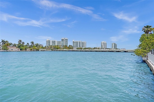 property view of water with a city view