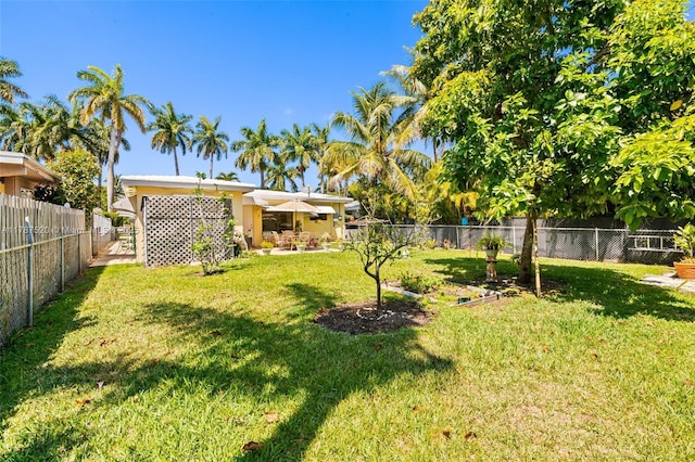 view of yard featuring a patio and a fenced backyard