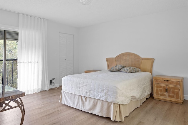 bedroom featuring light wood-style floors and a closet