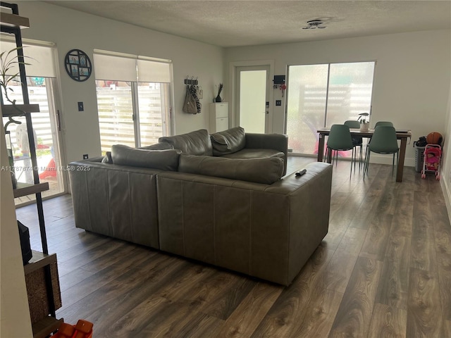 living room featuring a textured ceiling and dark wood finished floors
