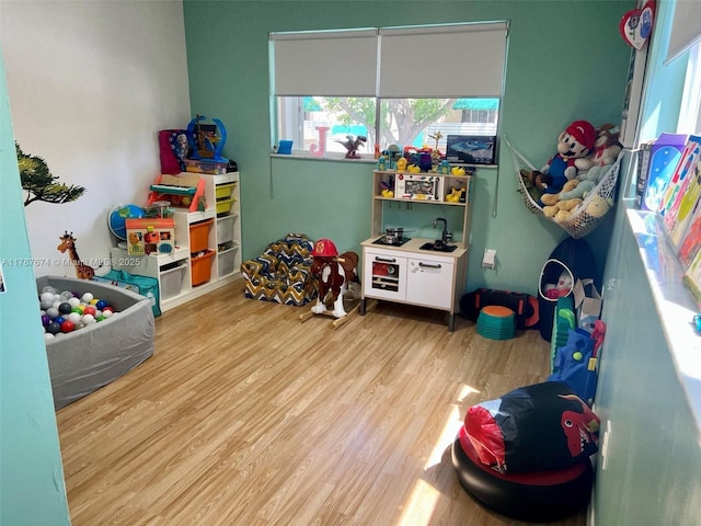 playroom featuring light wood-style floors
