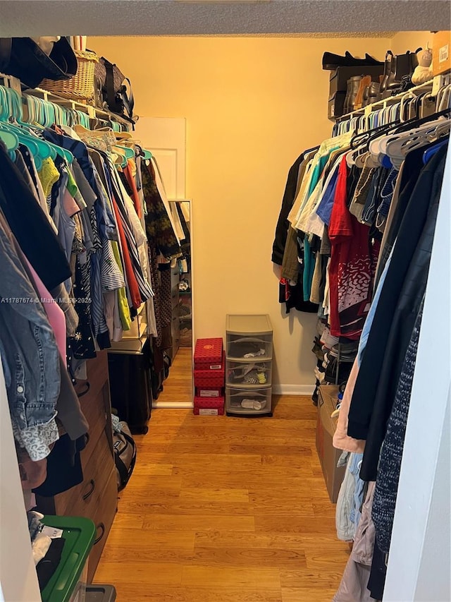 walk in closet featuring wood finished floors
