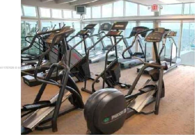 1717 N Bayshore Dr Unit A-1734, Miami, FL 33132 - workout area featuring carpet floors