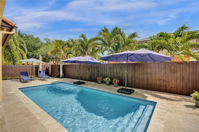 view of pool featuring a fenced in pool, a patio area, and a fenced backyard