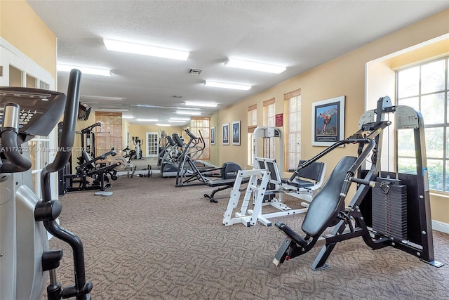 1245 SW 46th Ave Unit 1210, Pompano Beach, FL 33069 - workout area featuring healthy amount of natural light, carpet, a textured ceiling, and baseboards