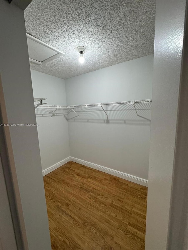 spacious closet with wood finished floors