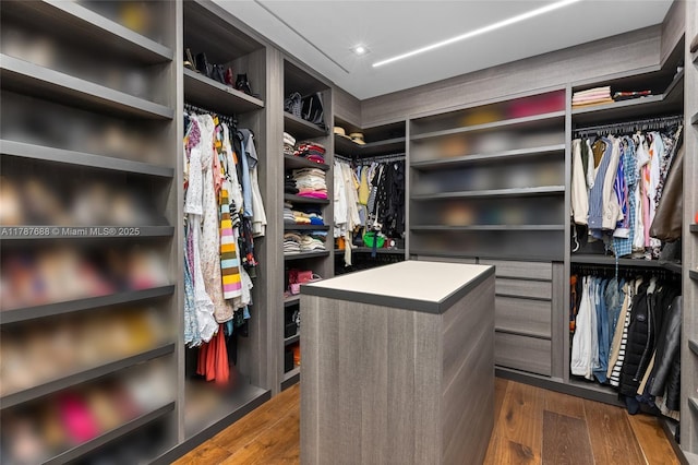 4039 Ventura Ave, Miami, FL 33133 - walk in closet featuring dark wood-style flooring
