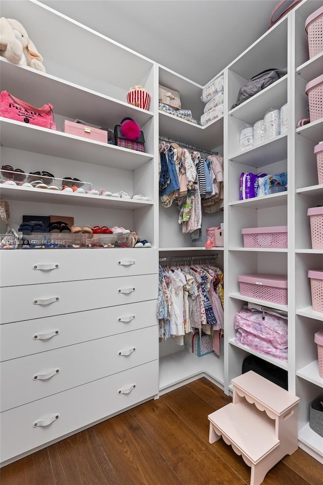 4039 Ventura Ave, Miami, FL 33133 - spacious closet featuring dark wood-style floors