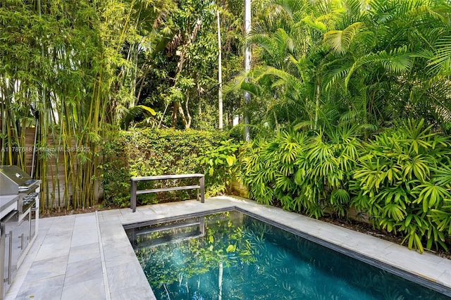 4039 Ventura Ave, Miami, FL 33133 - view of swimming pool with grilling area and a fenced in pool