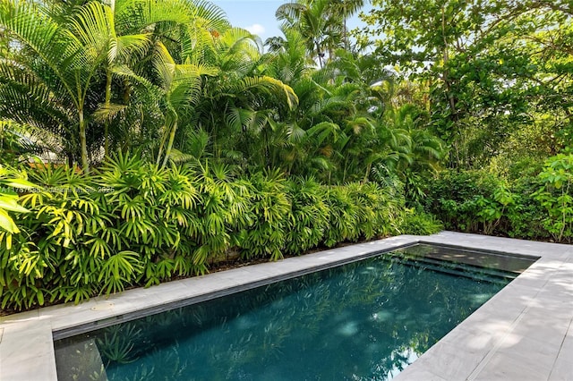 4039 Ventura Ave, Miami, FL 33133 - view of outdoor pool