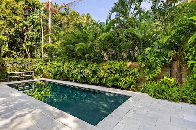 4039 Ventura Ave, Miami, FL 33133 - view of outdoor pool